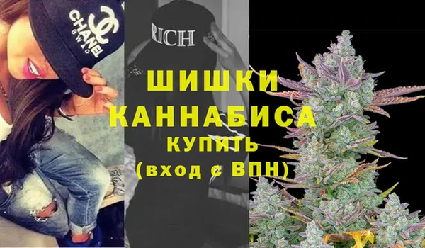 прущие грибы Нефтегорск