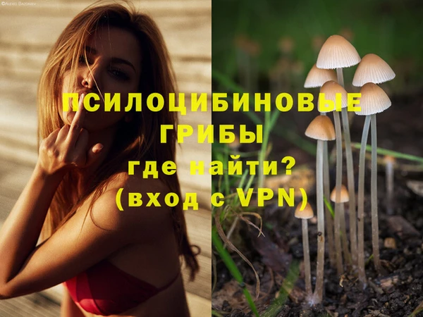 дмт Новодвинск