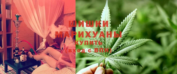 дмт Новодвинск