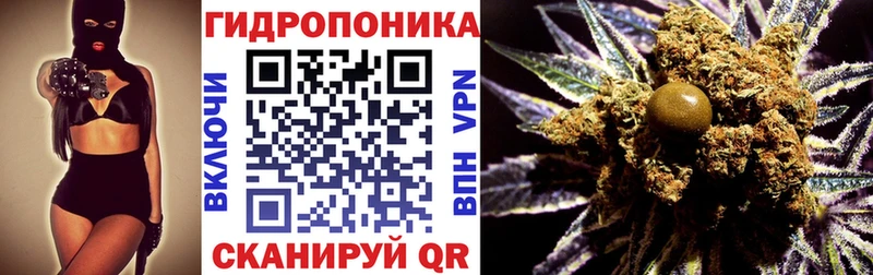 Шишки марихуана план  Купить закладки  Ладушкин 